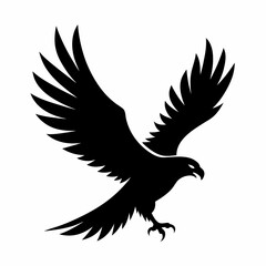 eagle vector illustration