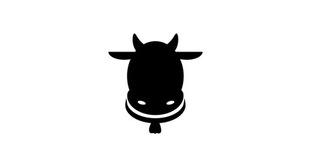 black and white cow