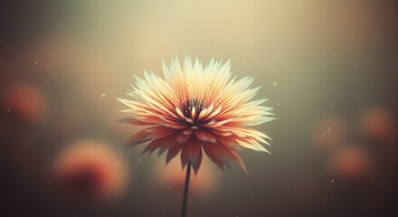 Artistic Close-Up of a Beautiful, Delicate Flower in Bloom