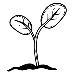 Fresh plant sprouting icon