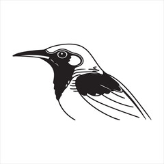 Regent Bowerbird – Shiny Black and Gold Forest Jewel of Eastern Australia