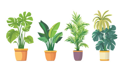 Obraz premium Elegant Houseplant Vector Illustration Concept