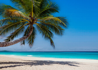 Fototapeta premium Generated image of a beach