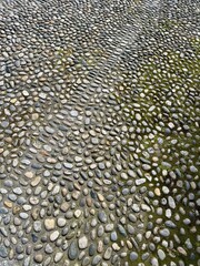 Detailed top view of an old cobblestone pavement with irregular natural stones, visible vehicle tire marks and patches of green moss, showing textures and patterns in a historic outdoor setting