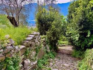 Old stone path surrounded by lush Mediterranean vegetation leading downhill with distant view of Lake Como and surrounding mountains near Sacro Monte di Ossuccio, Italy
