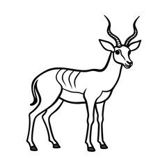 Obraz premium impala antelope black line art vector on white bac