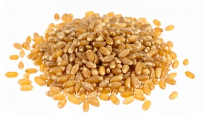 Spelt Grains on Isolated White Background – Ancient Wheat Variety with Amber Color and Natural Depth of Field