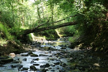 Vall&eacute;e du Moulin de la Mer