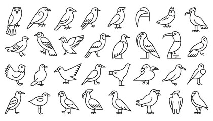 Different types birds collection vector set with silhouette illustrations