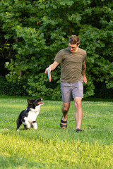 Man plays with Border Collie dog in backyard lawn, holding a flying disc