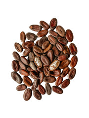 Cacao beans isolated on white background