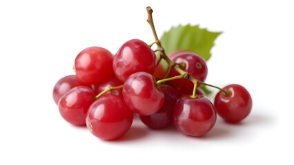 cherries on a white background