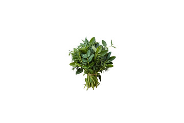Fototapeta premium Fresh Methi Leaves Bunch Isolated on White