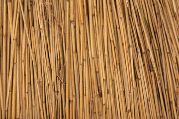 Close up of a bunch of brown bamboo sticks. The sticks are all different sizes and are arranged in a way that creates a sense of depth and texture