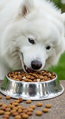 Fluffy white dog enjoying meal with stainless steel bowl in outdoor setting