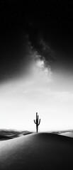 Black and white photograph of a desert landscape. the sky is filled with stars and the horizon is visible in the distance. the ground is covered in sand dunes and the sky is a hazy grey color.