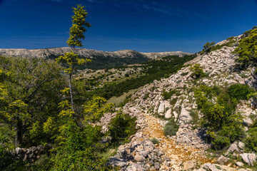 Hiking trail through the mountains from Baska to Vela Luka beach on the island of KRK Croatia