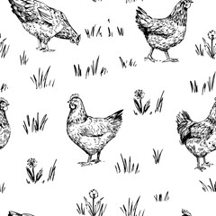 Chicken set, seamless pattern, realistic hand drawn sketch, monochrome illustration, black outline on transparent background