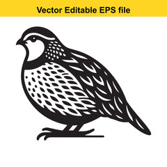 Stylized Quail Bird Illustration: Vector EPS File