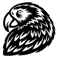 Obraz premium Resting Macaw Black and White Illustration