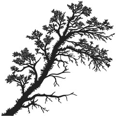 tree silhouette isolated on white