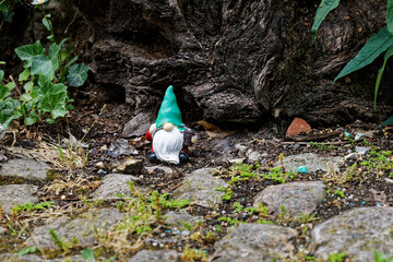 gnome