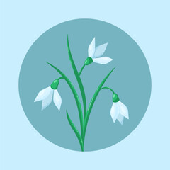 Spring flowers snowdrops in circle on blue background. Delicate floral greeting card. Vector illustration.