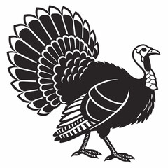 turkey vector illustration