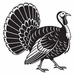 illustration of a turkey