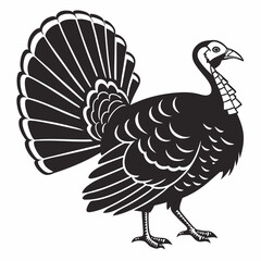 vector illustration of turkey
