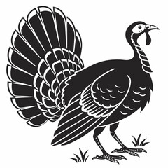 turkey vector illustration