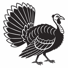 vector illustration of turkey