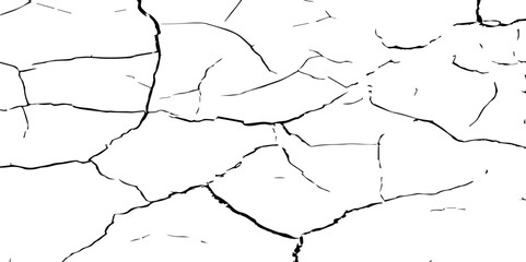A stark, high-contrast, black and white texture image depicting a pattern of cracks, resembling distressed paint,shattered glass,or parched earth.The background is pure white,and the cracks are sharp.
