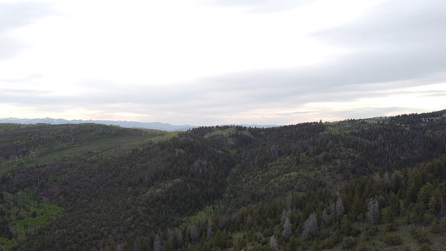 Aerial photographs of Guardsman Pass in the Wasatch Mountains of Utah, showcasing winding alpine roads, dense green forests, and high-elevation terrain under clear summer skies. Captured with a drone,