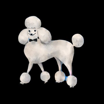 Elegant poodle balloon art animation isolated asset, transparent 4K video, alpha channel, ProRes 4444