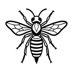 Obraz premium Wasp illustration with detailed wings and body in black outline 