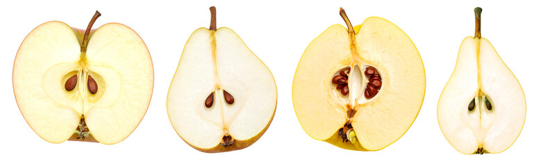Apple, pear, quince and pear halves showing seeds on transparent background