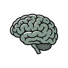 Stylized Human Brain Illustration with Detailed Lobes and Cerebellum Rendered in Muted Green Tones with Bold Black Outlines on a White Background simplified