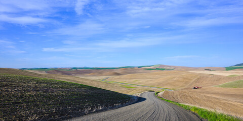 Gravel road passes through Palouse Region farmland in springtime