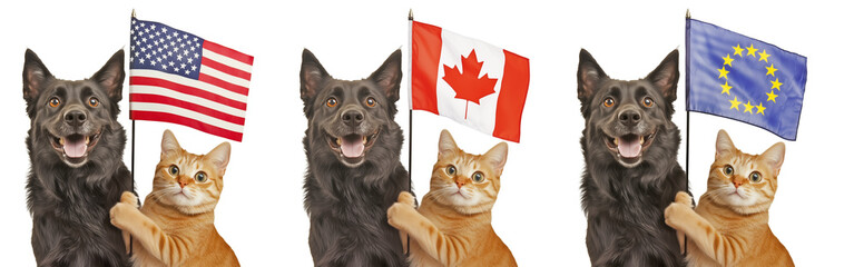 Happy dog and ginger cat holding USA, Canada, and EU flags, patriotic celebration concept with transparent background, perfect for national holidays, pet-themed events, or international campaigns