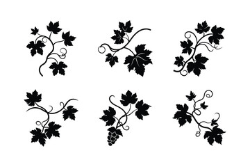  set of grapevine branch with lobed leaves silhouette vector