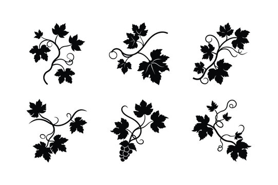  set of grapevine branch with lobed leaves silhouette vector
