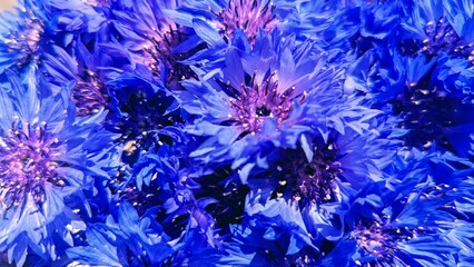 blue christmas background