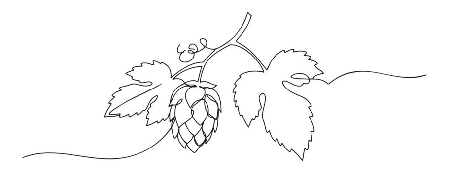 Hop flowers line art with leaves, minimalistic design for brewing and gardening projects