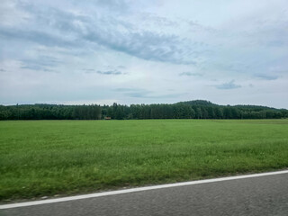 Lush green fields and cloudy skies along a rural road during late afternoon