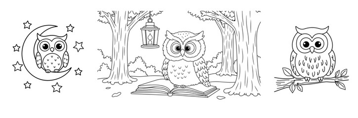 Fototapeta premium Owl illustrations in nature with trees, moon, and lantern concept of children's coloring set 
