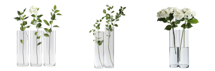 Set of Single Siberian leaf submerged in water inside a test tube, with a bright white background, high detail macro photo on pure on transparent png background. Ai generated