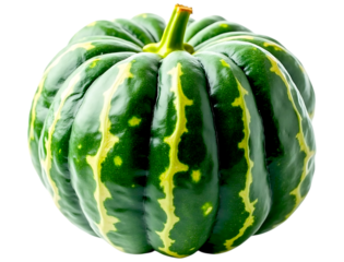 Green striped acorn squash isolated on black background