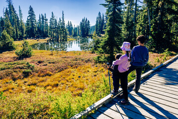 Family hiking, Paradise Meadows Loop Trail, Strathcona Provincial Park, Vancouver Island, BC, Canada
