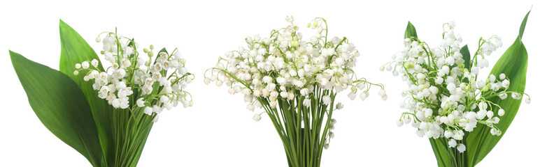 Aromatic bouquets of lily of the valley flowers isolated on white, collage